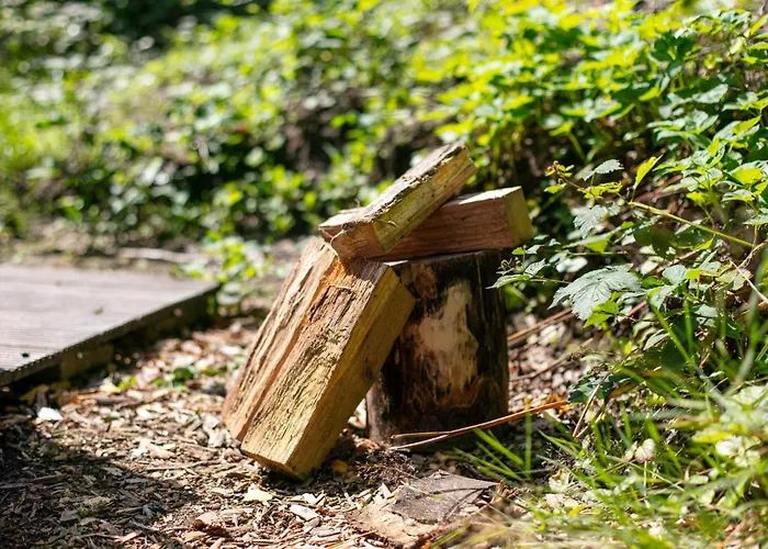 Casa vacanze Bij Ons Tinie *