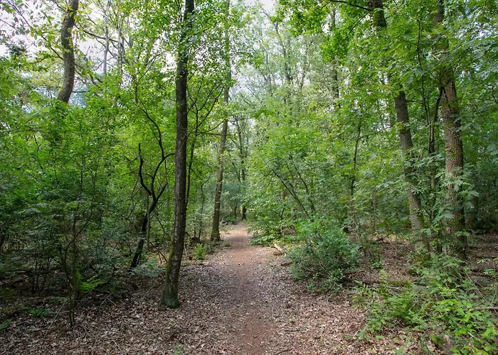 Bij Ons Tinie Nyaraló Uden